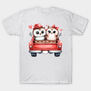 Valentine Owl Couple Sitting On Truck T-Shirt